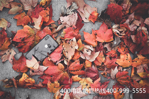 (400電話辦理專線)(400電話辦理條件)