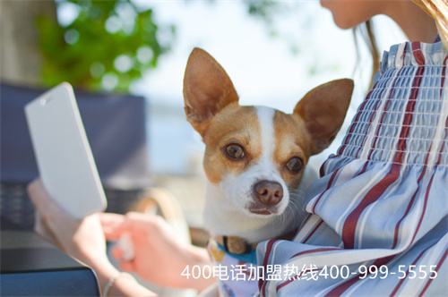 (400電話功能大全)(400電話有什么功能)