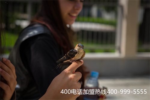 (400電話都是正規的嗎)(網上看到可以通過代理商進行400電話辦理，請問靠譜嗎？)